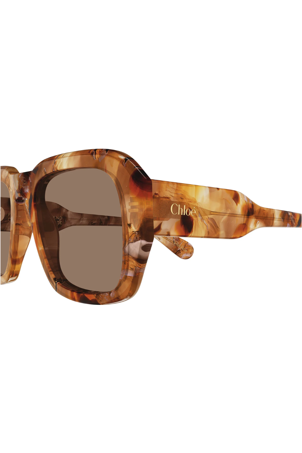 Chloé CH 0310S 005