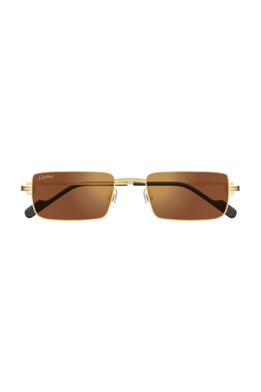 Cartier CT 0501S 006