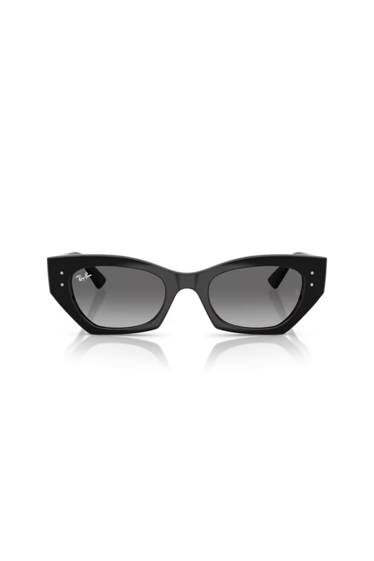 Ray-Ban RB 4430 667711
