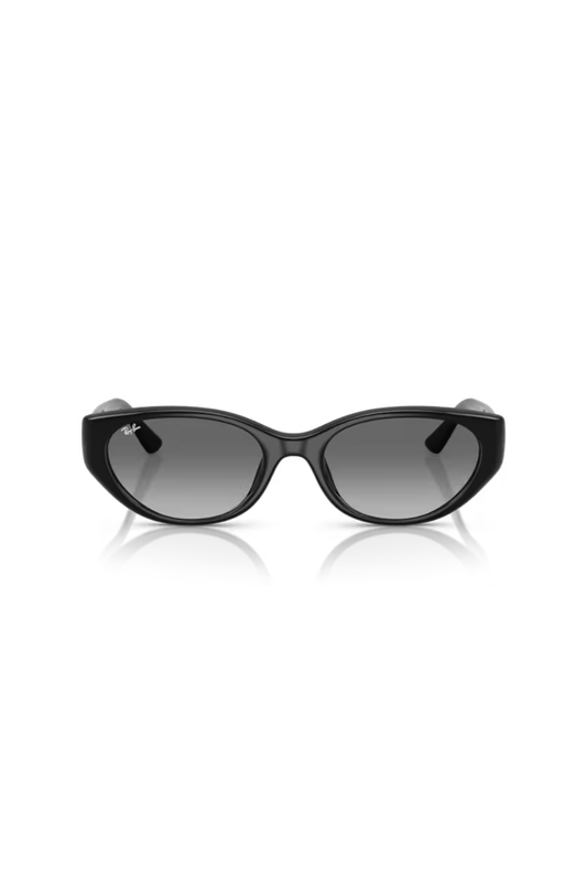 Ray-Ban RB 4457D 667711