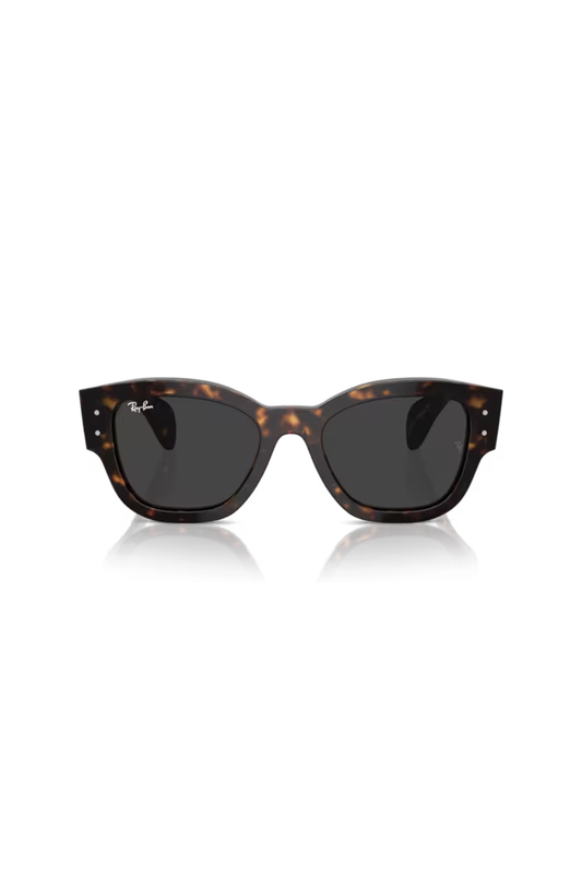 Ray-Ban RB 7681S 902/48