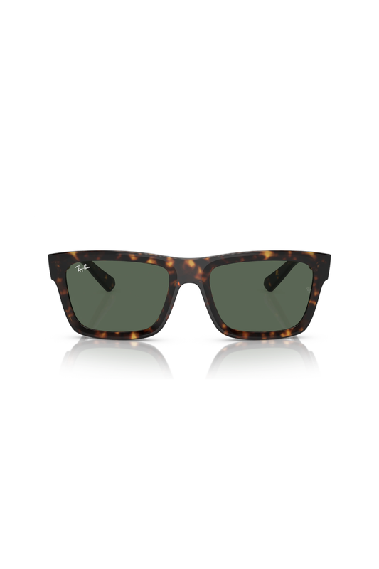 Ray-Ban RB 4396 135971