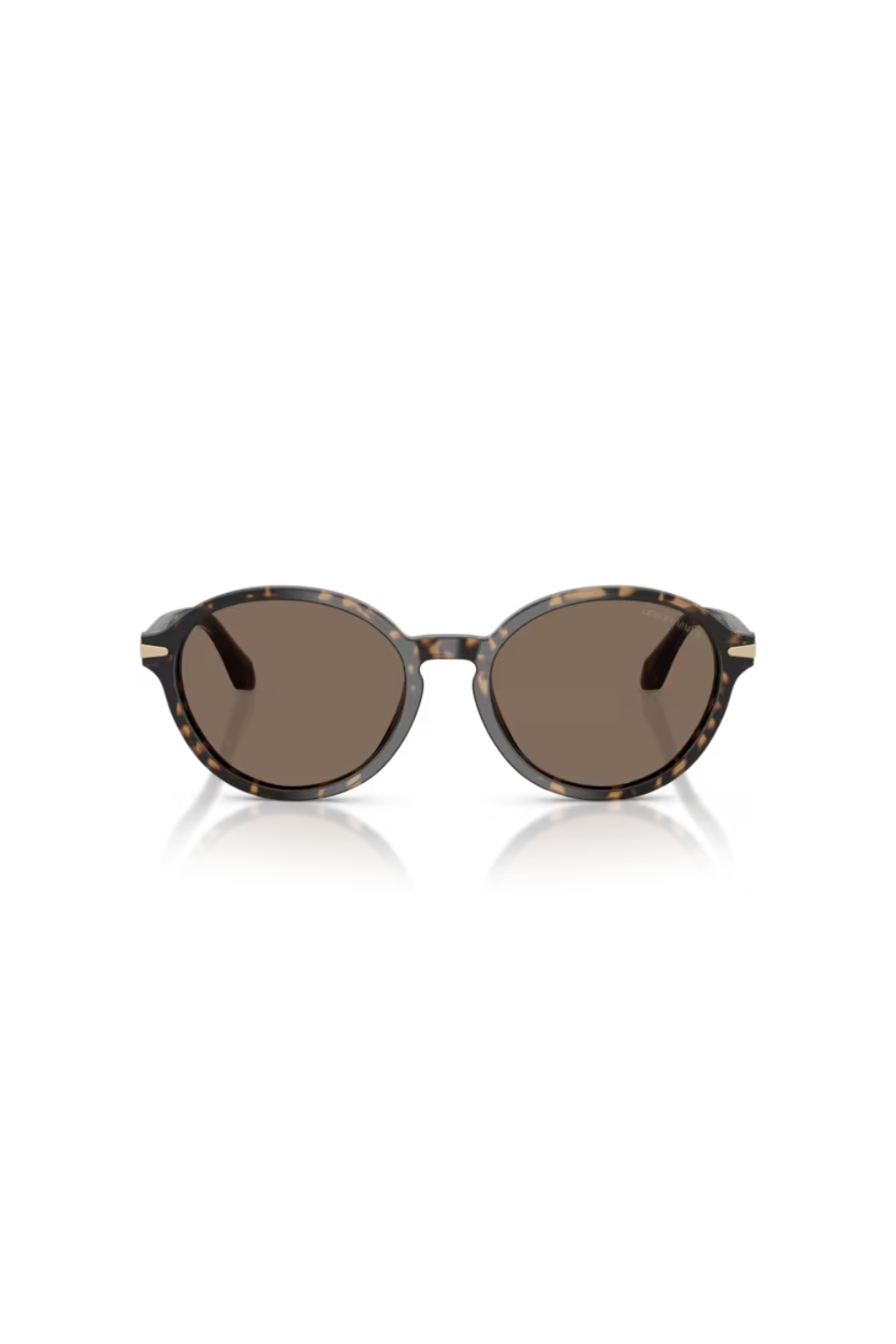 Giorgio Armani AR 8237 623573