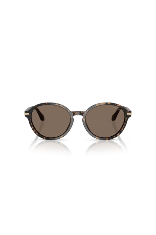 Giorgio Armani AR 8237 623573