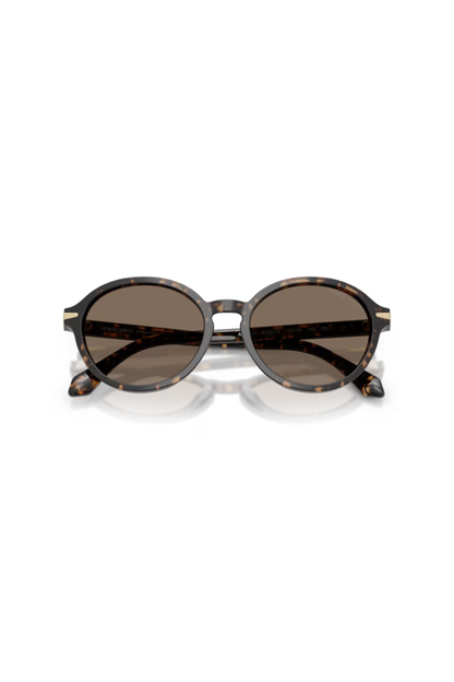Giorgio Armani AR 8237 623573