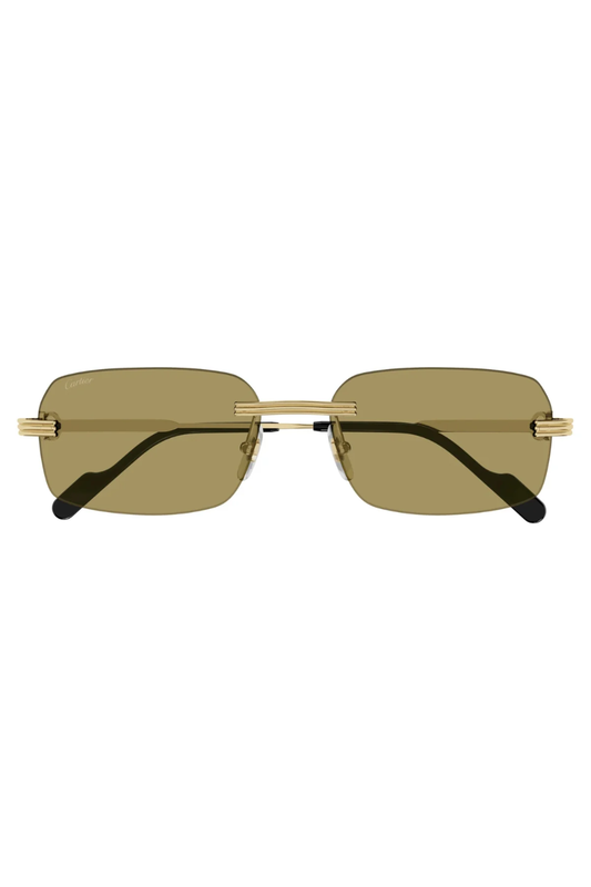 Cartier CT 0271S 009
