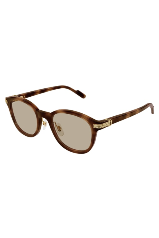 Cartier CT 0302S 012