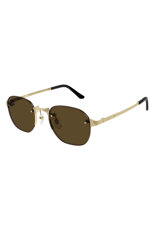 Cartier CT 0459S 002