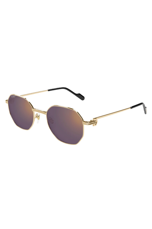 Cartier CT 0500S 004