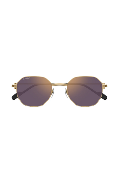 Cartier CT 0500S 004