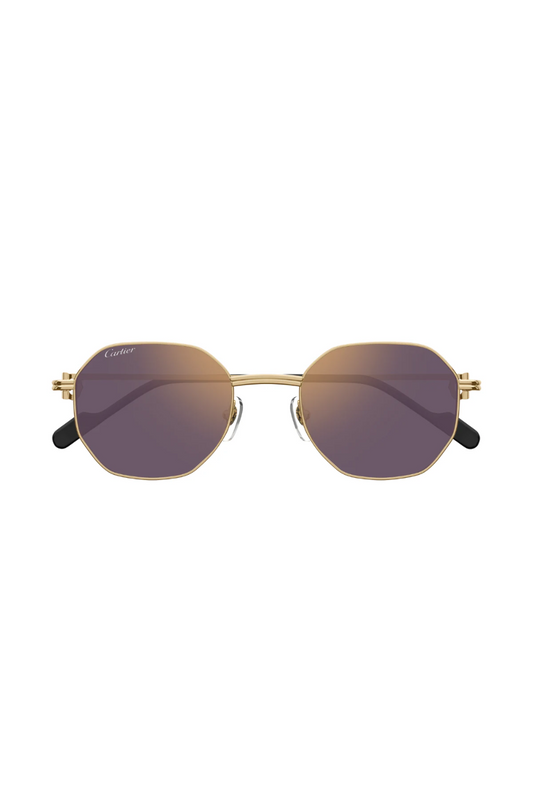 Cartier CT 0500S 004