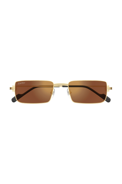 Cartier CT 0501S 006