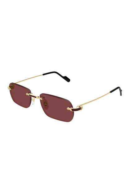 Cartier CT 0498S 002