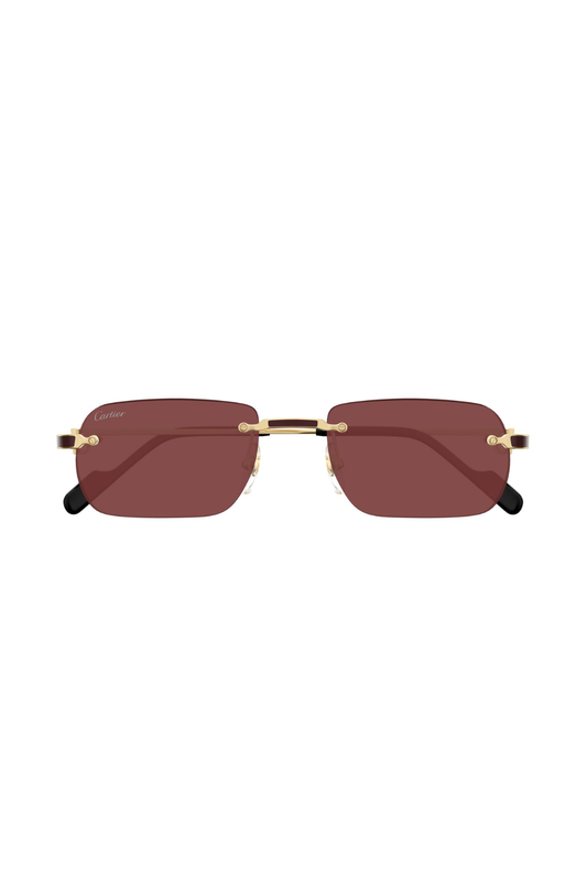 Cartier CT 0498S 002