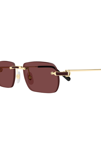 Cartier CT 0498S 002