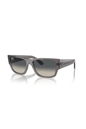 Ray-Ban RB 0947S 667571