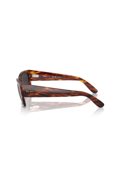Ray-Ban RB 0947S 954/48