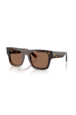 Ray-Ban RB 2217M F61373