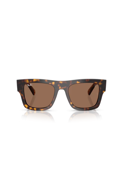 Ray-Ban RB 2217M F61373