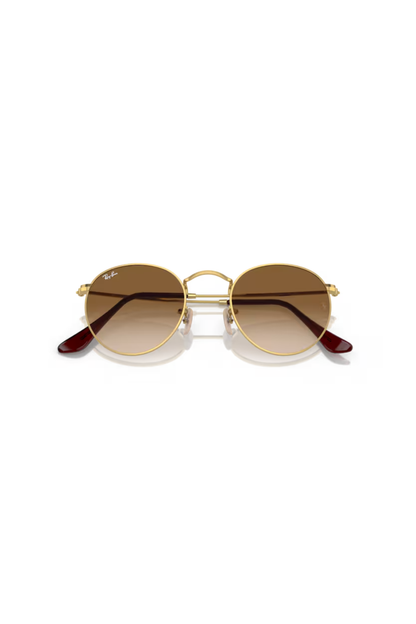 Ray-Ban RB 3447 001/51