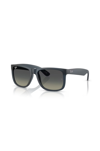 Ray-Ban RB 4165 681311