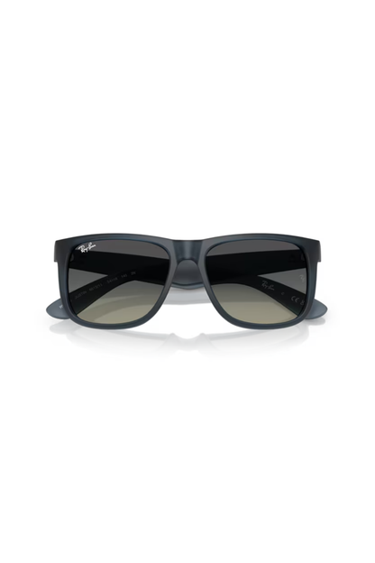 Ray-Ban RB 4165 681311