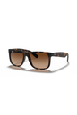 Ray-Ban RB 4165 710/13