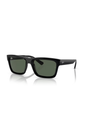 Ray-Ban RB 4396 667771