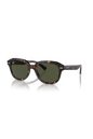 Ray-Ban RB 4398 902/31