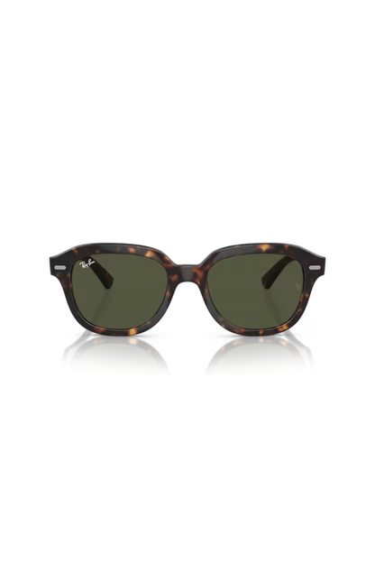 Ray-Ban RB 4398 902/31
