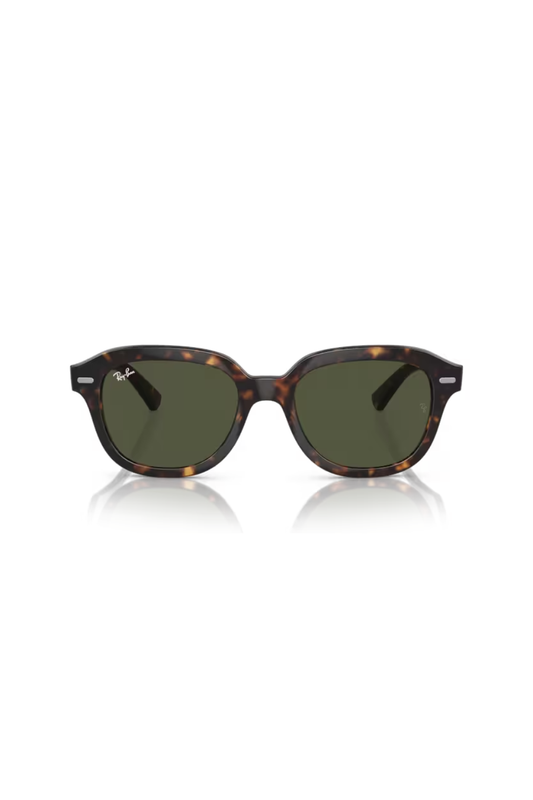 Ray-Ban RB 4398 902/31
