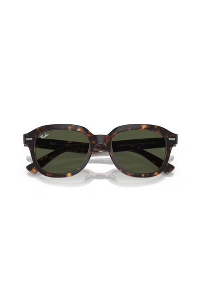 Ray-Ban RB 4398 902/31