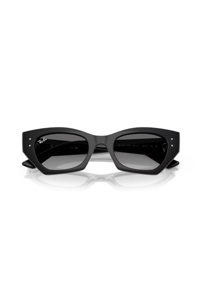 Ray-Ban RB 4430 667711