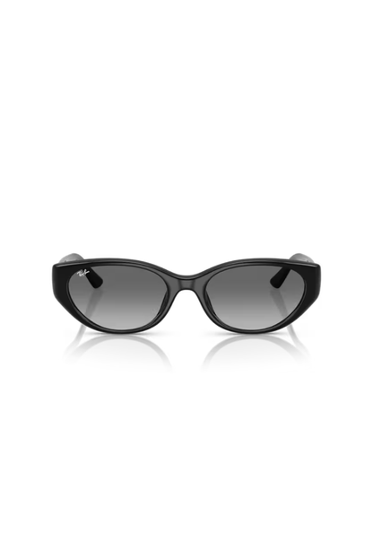 Ray-Ban RB 4457D 667711