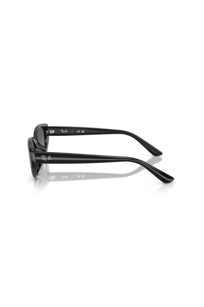 Ray-Ban RB 4457D 667711