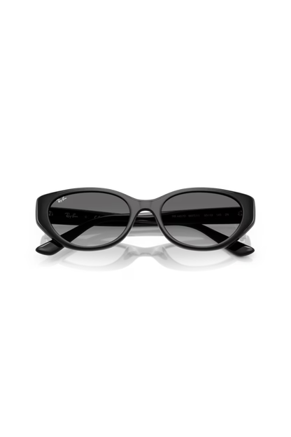 Ray-Ban RB 4457D 667711