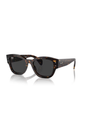 Ray-Ban RB 7681S 902/48